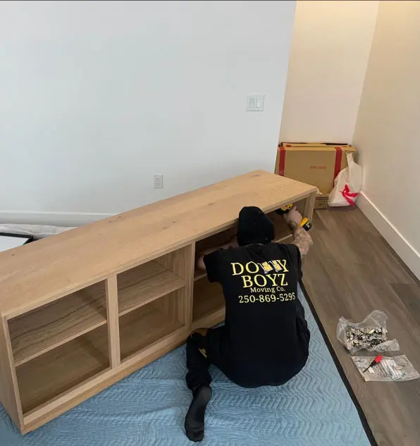 Dolly Boyz Moving Furniture Moving & Assembly